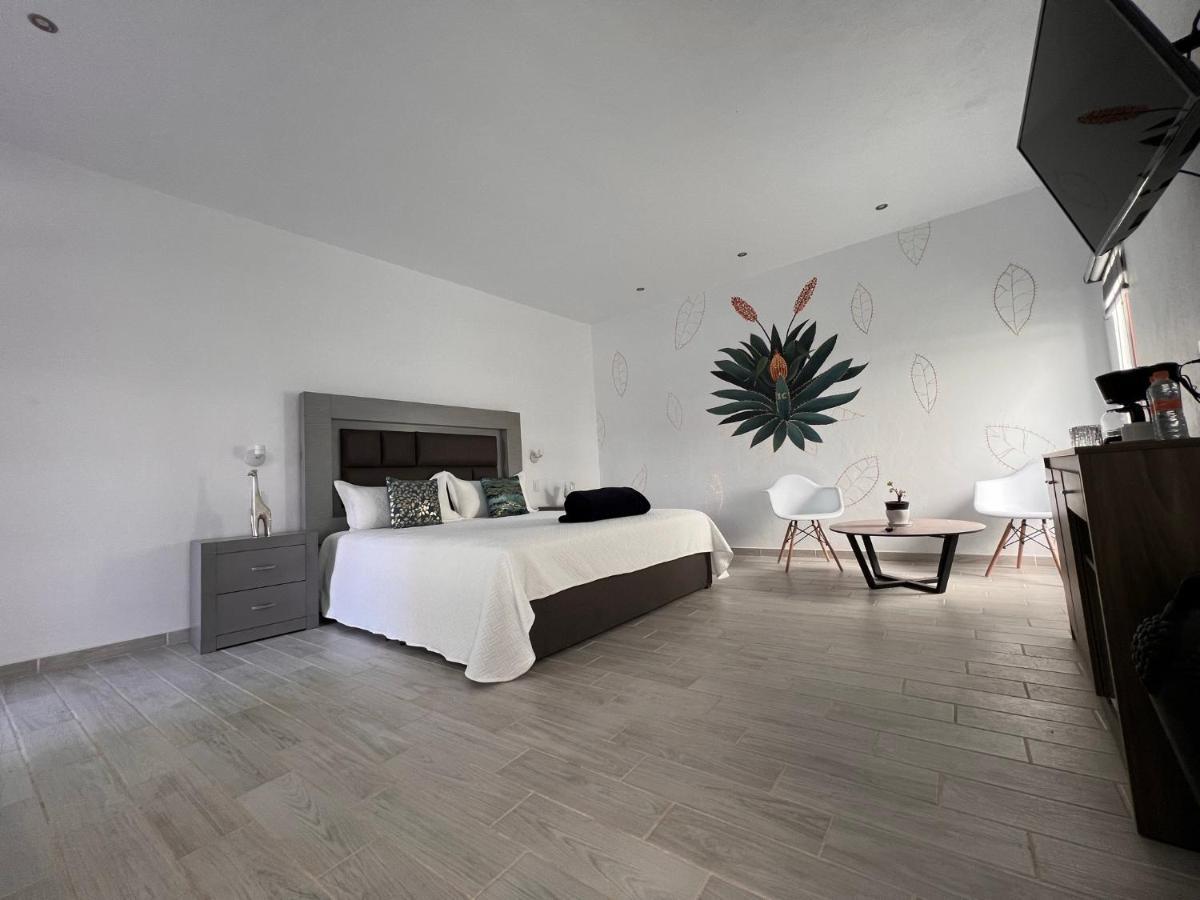 Casa Clementina Hotel Tequila Luaran gambar